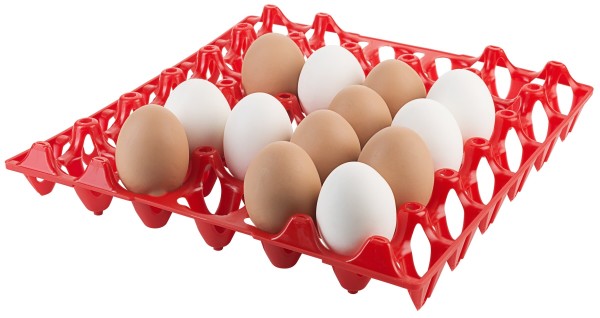 Contacto Tablett für 30 Eier, rot